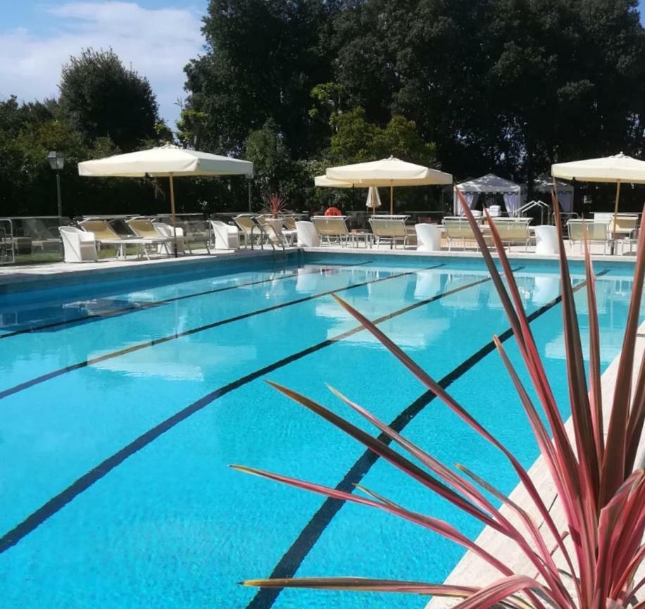Hotel Park Ariston 4*